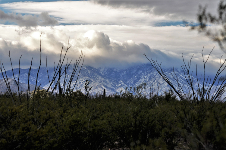 snow-capped mtns